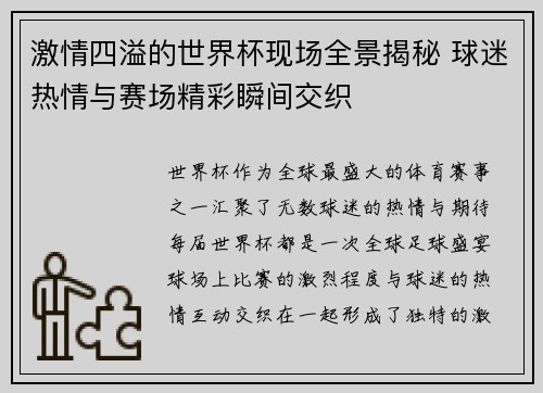 激情四溢的世界杯现场全景揭秘 球迷热情与赛场精彩瞬间交织