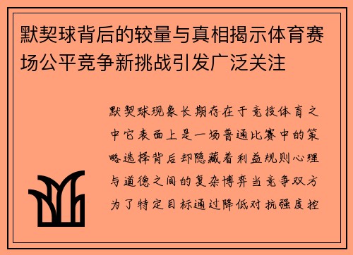 默契球背后的较量与真相揭示体育赛场公平竞争新挑战引发广泛关注